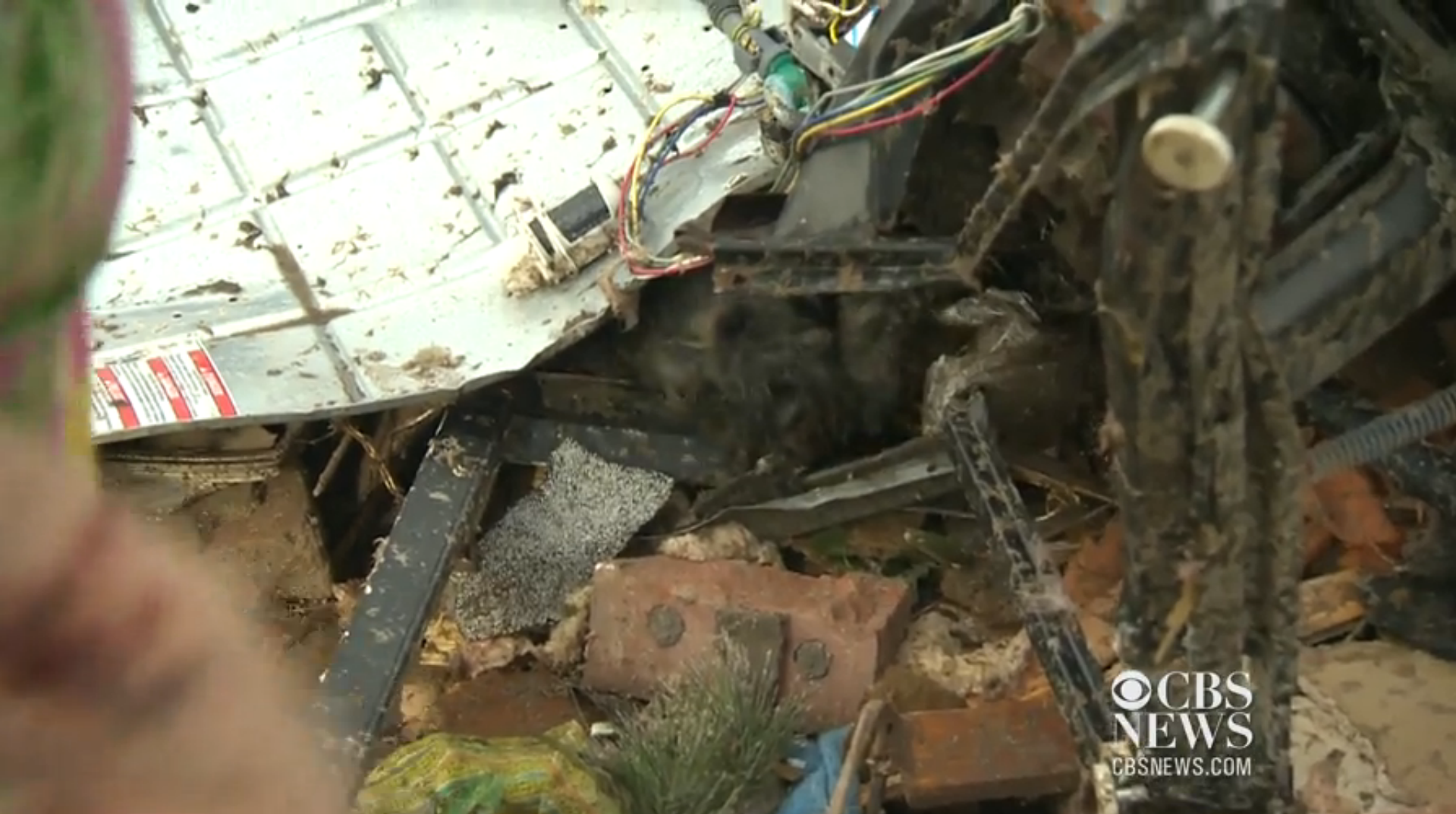 Ruin, Orkan, Oklahoma, Oklahoma City, Hund